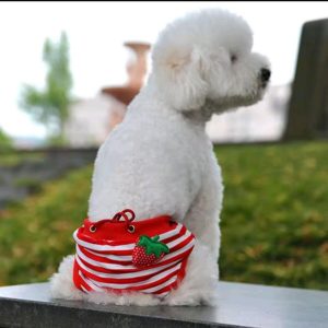 Труси гігієнічні для собак Червона полуничка (трикотаж)